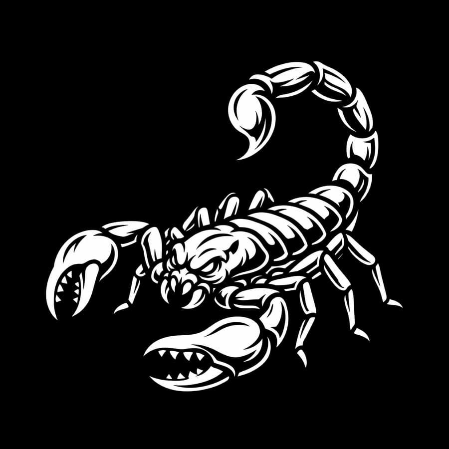 scorpion